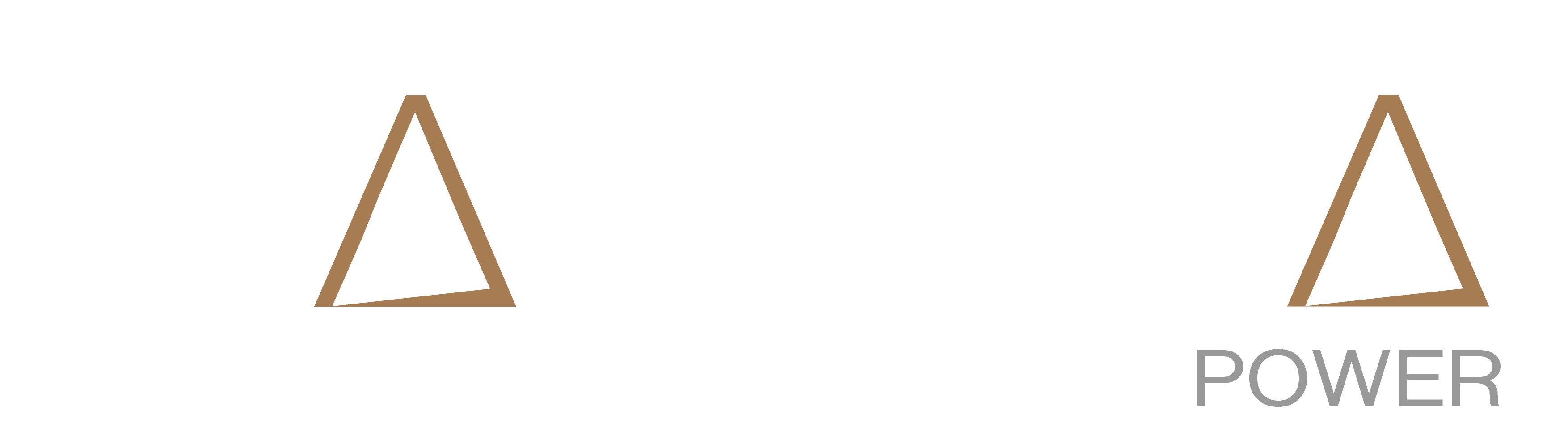 Small Star Delta Power navigation bar logo